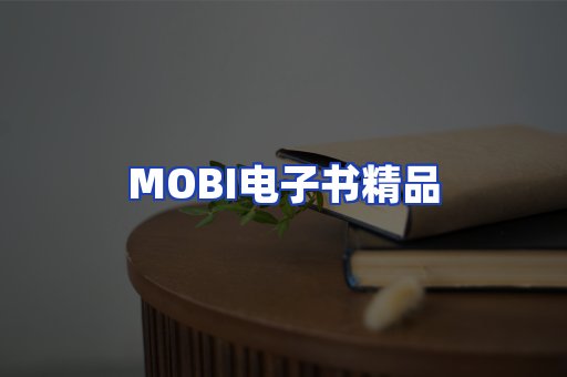 外文电子书产品